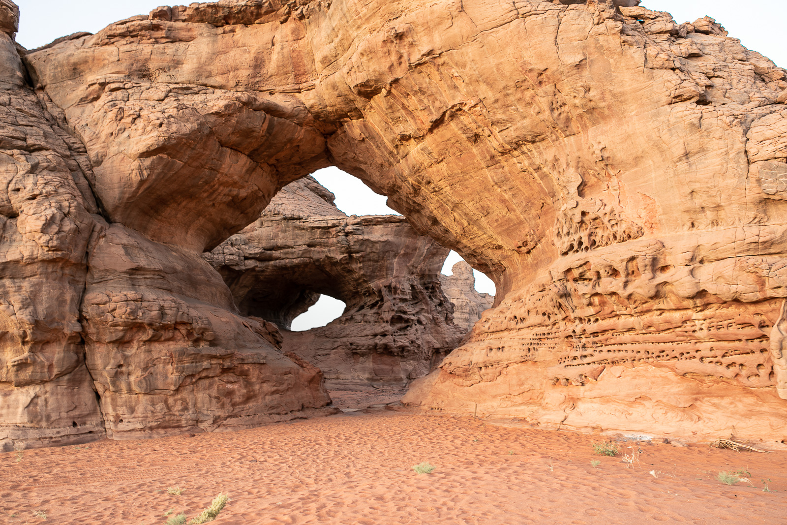 Human & Nature  outoftime 104